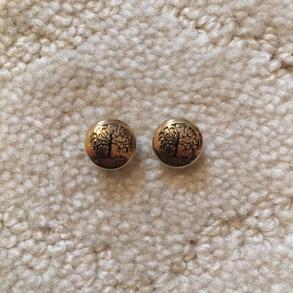 Alex and Ani Earrings